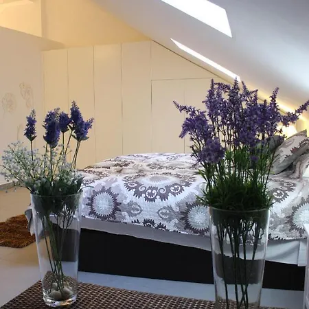Apartment Carrera Luxury *